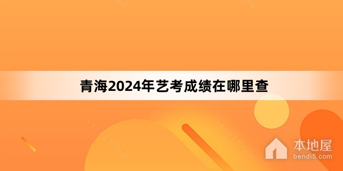 青海2024年艺考成绩在哪里查