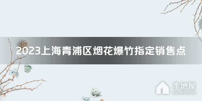 2023上海青浦区烟花爆竹指定销售点