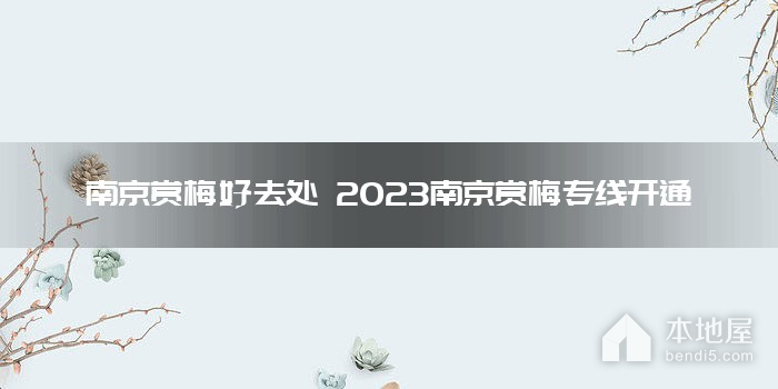 南京赏梅好去处 2023南京赏梅专线开通