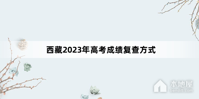 西藏2023年高考成绩复查方式