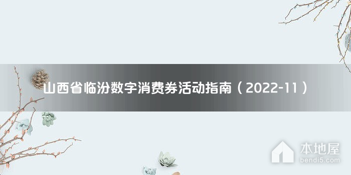 山西省临汾数字消费券活动指南（2022-11）