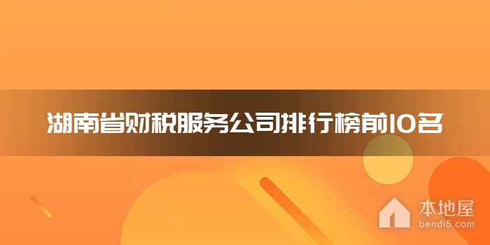 湖南省财税服务公司排行榜前10名