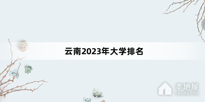 云南2023年大学排名