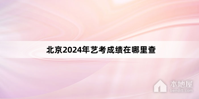 北京2024年艺考成绩在哪里查