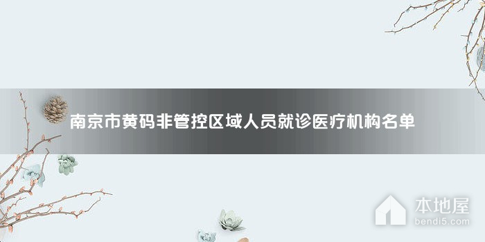 南京市黄码非管控区域人员就诊医疗机构名单