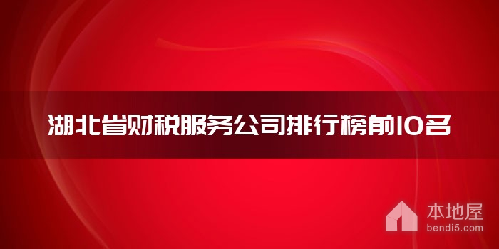 湖北省財稅服務公司排行榜前10名