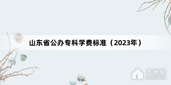山东省公办专科学费标准（2023年）