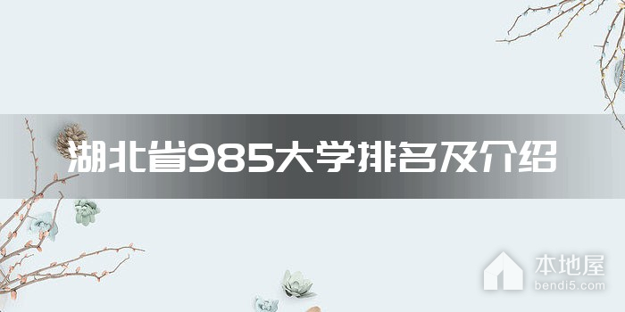 湖北省985大學排名及介紹